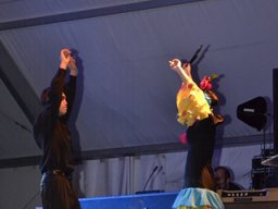 Festival de Folkore en Mula